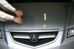 applying Xpel paint protection film